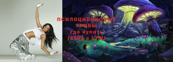 сатива Заволжье