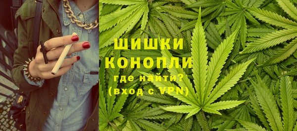 сатива Заволжье
