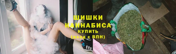 сатива Зеленокумск