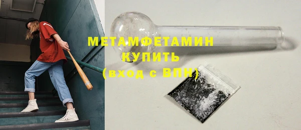 сатива Заволжье