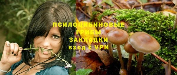 сатива Зеленокумск