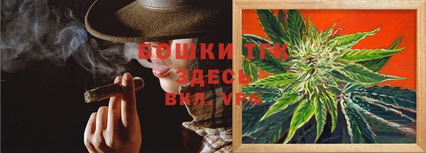 сатива Заволжье
