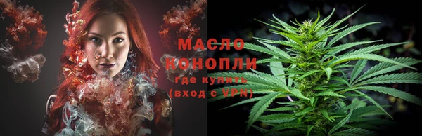 сатива Заволжье
