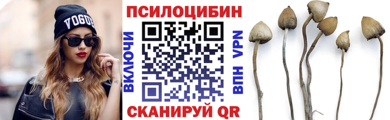 Псилоцибиновые грибы GOLDEN TEACHER  Красногорск 